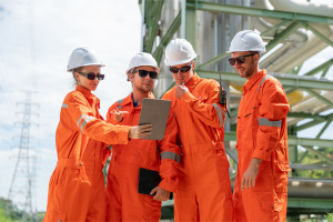 Capital Project Fundamentals for Reliability Professionals (eCAP)